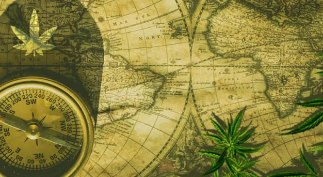 História e evolução das pesquisas sobre CBD